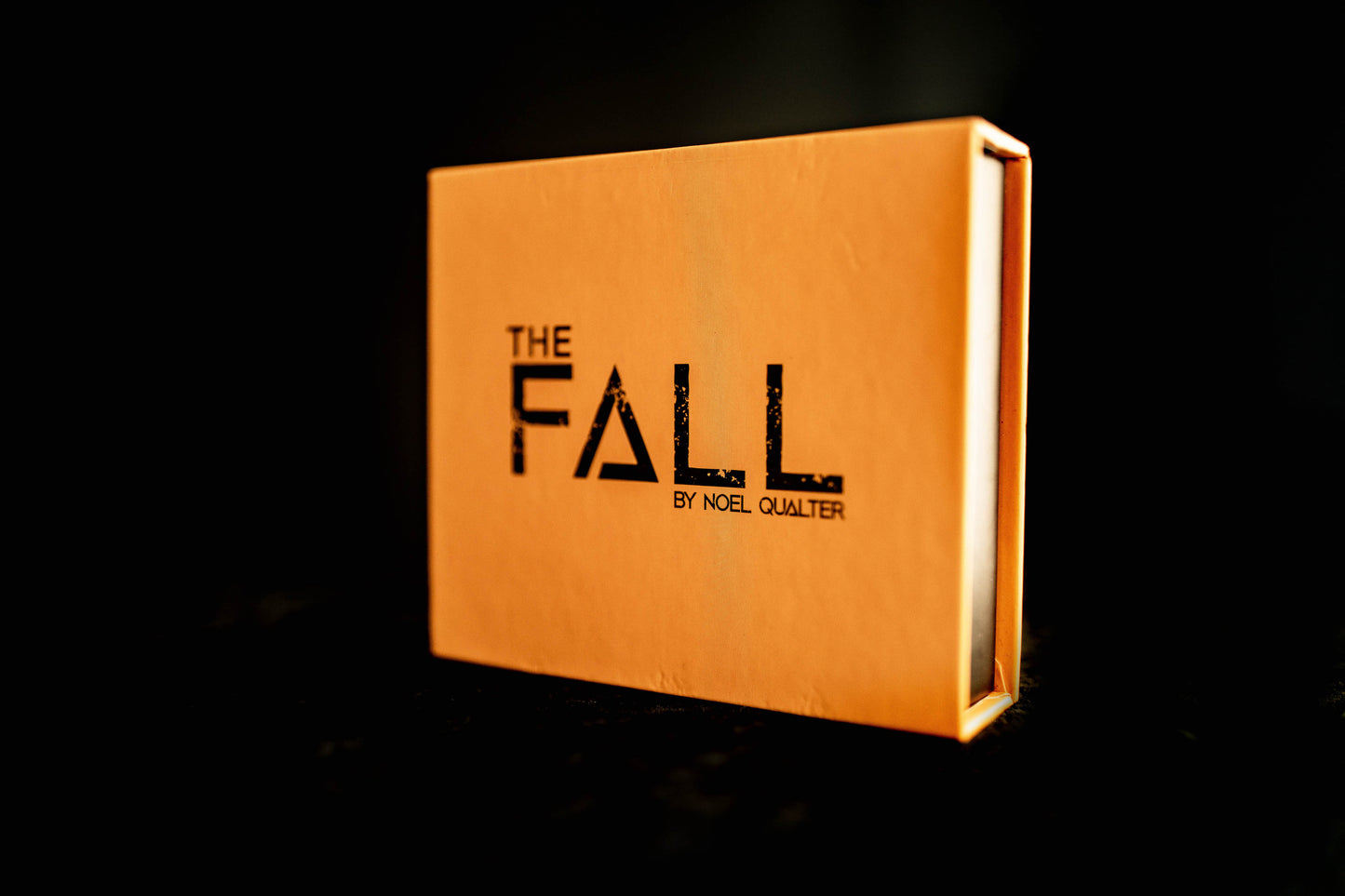 The Fall by Noel Qualter