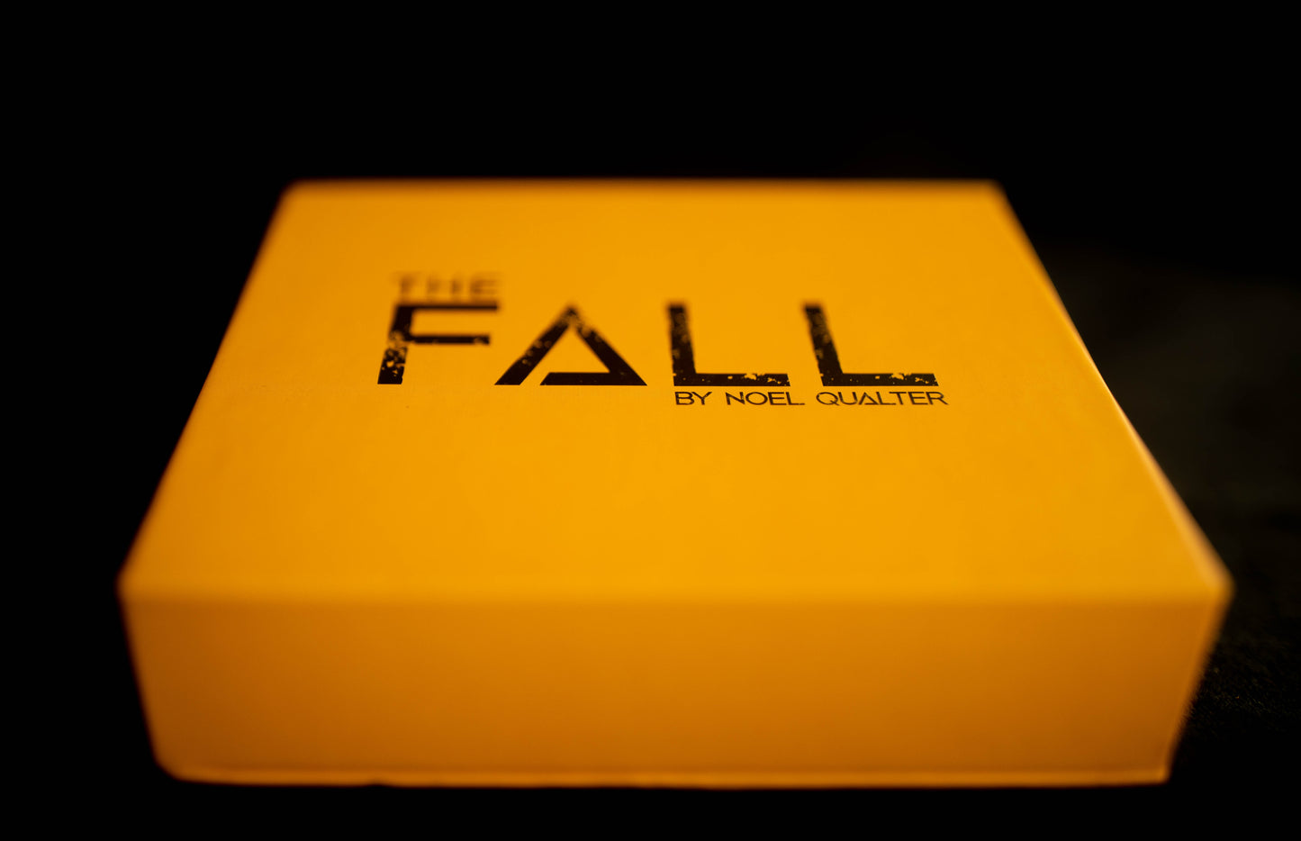 The Fall by Noel Qualter