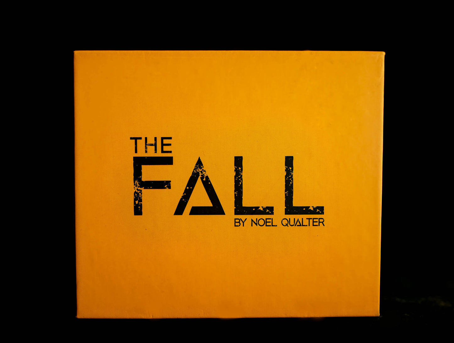 The Fall by Noel Qualter