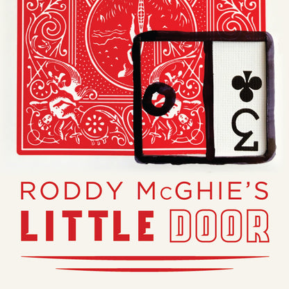 Little Door by Roddy McGhie